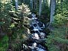DSC05936.jpg